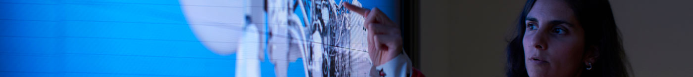 Bild zu Sr. Control System Software Engineer (Control Laws)